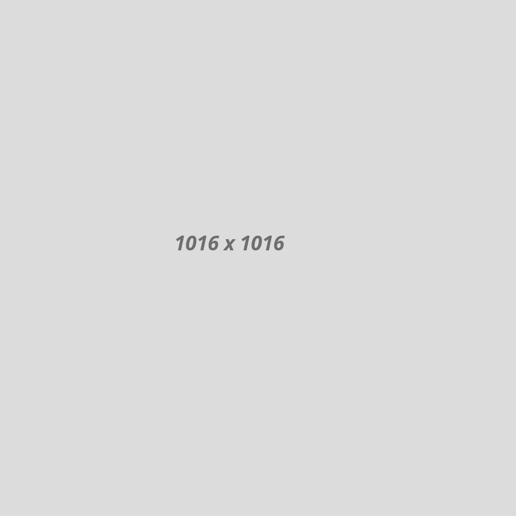 services04